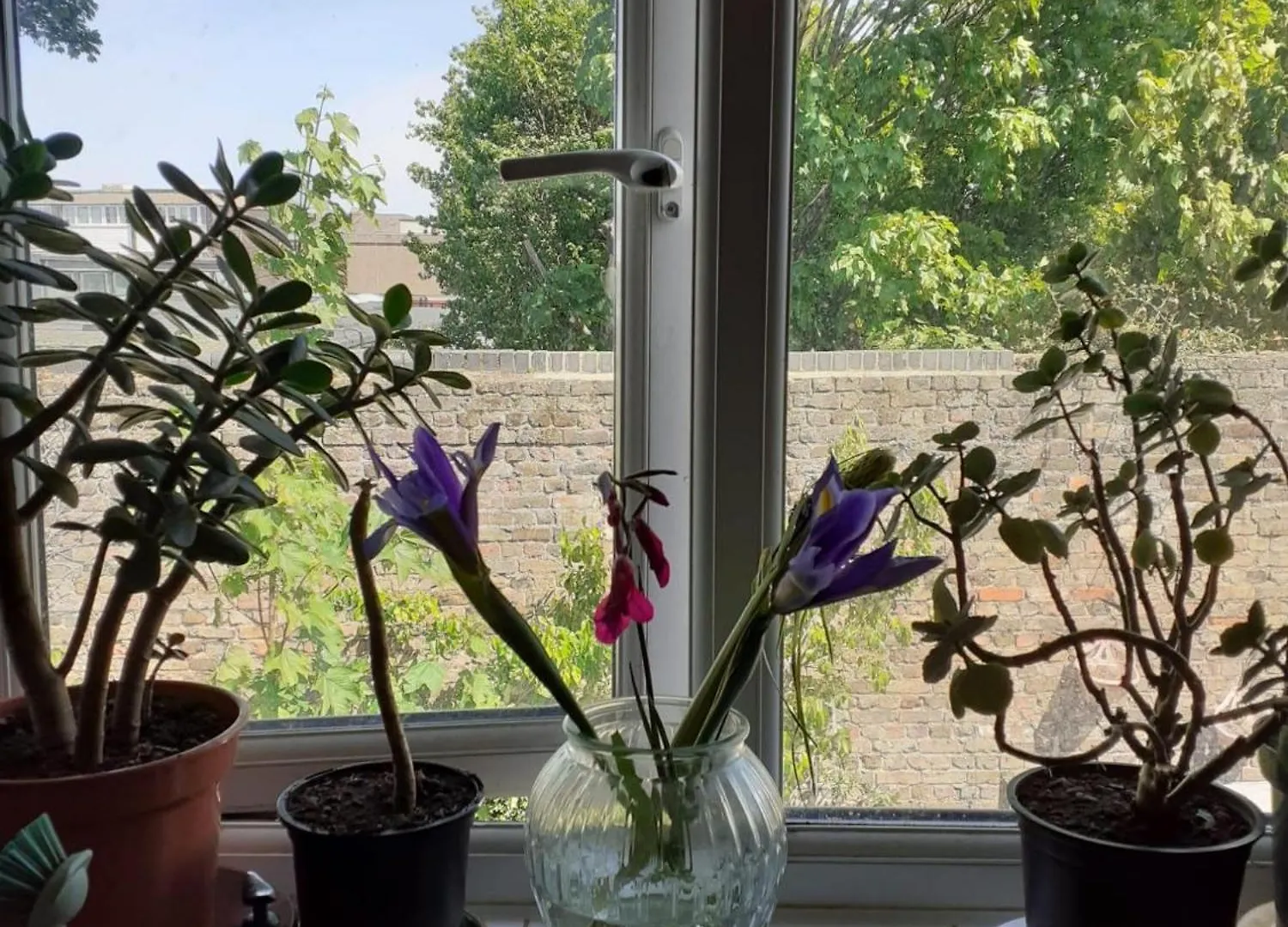 East London Apartmentsleeps2-Garden-Transportlinks Apartment